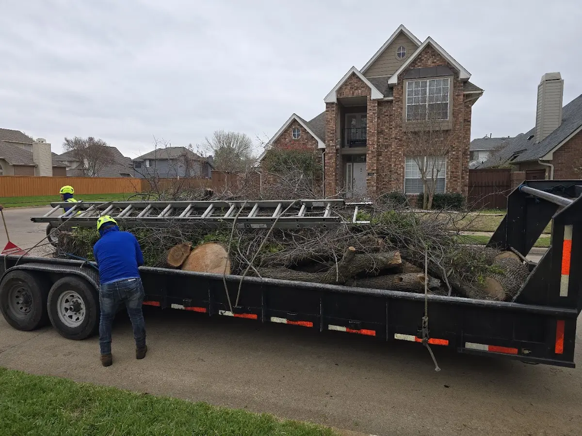 Expert Crown Reduction with proper safety equipment in Cedar Grove